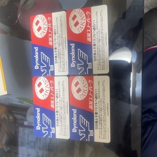 リフト券　高鷲スノーパーク　ダイナランド　バラ売り可