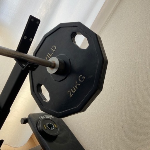 ワイルドフィット　オリンピックプレート