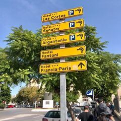 フラメンコ新規クラススタートします。メンバー募集します。の画像