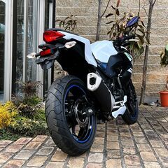 【SALE/値下中】中古美車 カワサキ Z250 走行14,327km 保証付き ノーマル車両！ 250cc Kawasaki 250cc 宇治市槇島町の画像