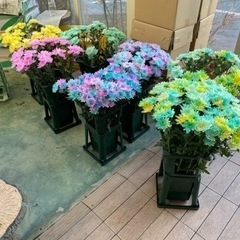 【短期アルバイト】花の加工スタッフ【春お彼岸】の画像