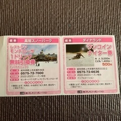 ダイナランド ナイター券