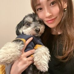 足立区の皆様へ　レア求人　ペットタクシーで働こうの画像