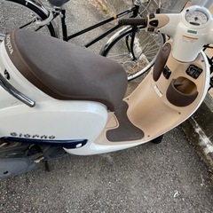 HONDA ジョルノ 原付