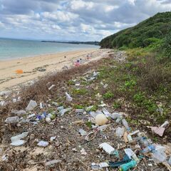 Beach Cleaning に参加してくれる人募集中！！ - 名護市