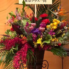Hula Halau O Pumehana 四ツ谷 enjoy　＆　初級classの画像