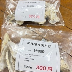 水質改善　牡蠣殻　大量入荷中！！