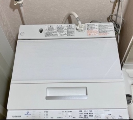 2019年式 東芝 ZABOON 8kg AW-8D8