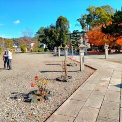★５月１０日（土）出店者募集！★日の丸マーケット彦根 蚤の市★滋賀縣護国神社★３～１２月の毎月第２土曜日開催！ − 滋賀県