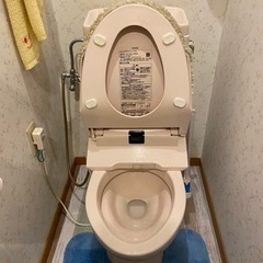 toto 便座　色ピンクです（決まりました）