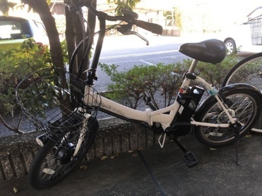 ペルテック　20インチ