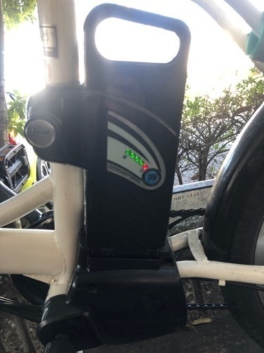 ペルテック　20インチ