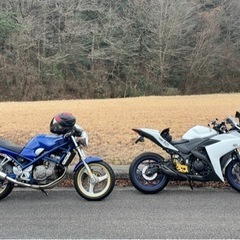YZF-R3(カスタム)の画像