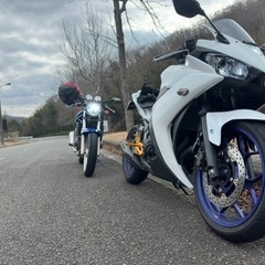 YZF-R3(カスタム)の画像