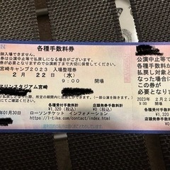 WBC  宮崎キャンプ　2月22日（水）の画像