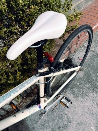 Bianchi ROMA2