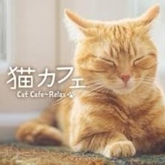猫カフェいきませんか？？ - 友達
