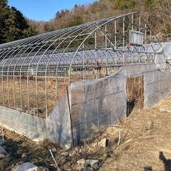 ビニールハウス