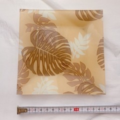 モンステラ　平皿　大小３枚セットの画像