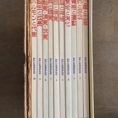 わたしたちのからだ全10巻の画像