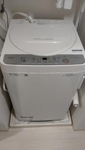 ※引き渡し予定者決定【2019年製】シャープ洗濯機