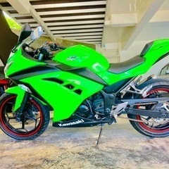 ninja250R の画像