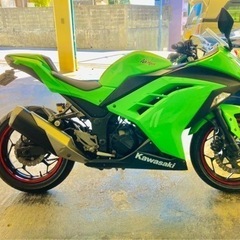 ninja250R の画像