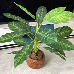 フェイクグリーン 観葉植物 籠付きの画像