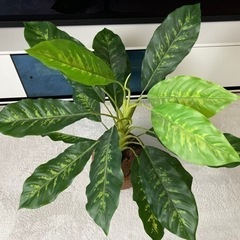 フェイクグリーン 観葉植物 籠付きの画像