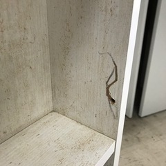 ロ2302-724 値下げしました　キッチンキャビネット　キャスター付き収納　汚れ　キズ　側面破損ありの画像