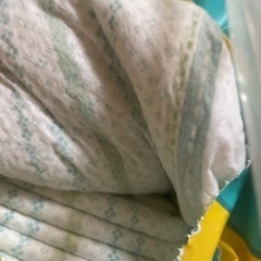 トイトレパッド、オムツL    取引中の画像