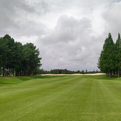 ゴルフ一緒に楽しみましょう🏌️‍♀️