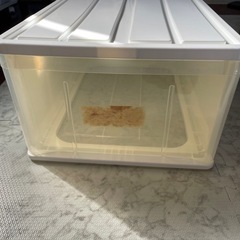 テンマ　天馬　衣装ケースの画像