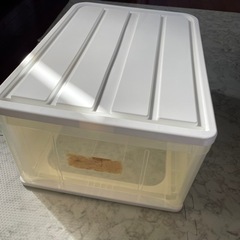 テンマ　天馬　衣装ケース