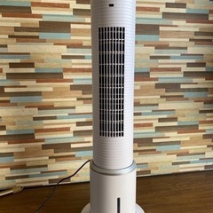 去年夏に購入した商品です