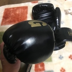 ボクシンググローブ 8オンスの画像