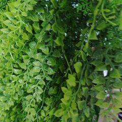 造花　特大グリーンカーテン　一つ50cm×50cm   全部で1...