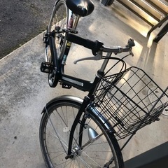 自転車 大学生