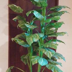 人口観葉植物　無料