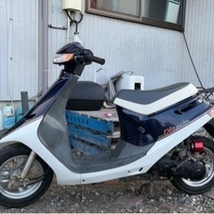 ホンダ18dioスペシャルエディションの画像