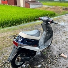 ホンダ18dioスペシャルエディションの画像