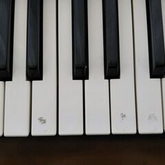 CASIO カシオ 電子キーボード　CTK-496 アダプター付きの画像