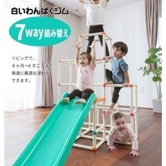 白いわんぱくジム