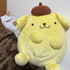 プリンちゃん