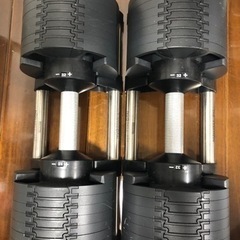 フレックスベル 32kg 2kg刻み 2個セット | ウエイトト...