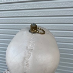 骨模型 人体模型 骸骨標本の画像