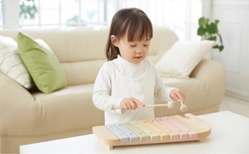 早い者勝ち 新品未使用 大人気 NIHONシリーズ エレファント シロフォン