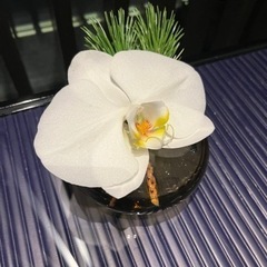 🌸2/23(木)女神の開運何でも話そう会🌸
