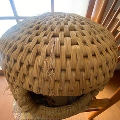 猫つぐらの画像