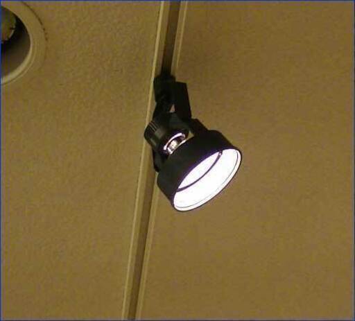 配線ダクトレール用　天井スポットライト　口金 E-11　LED電球付き【雑貨店閉店による、備品処分】